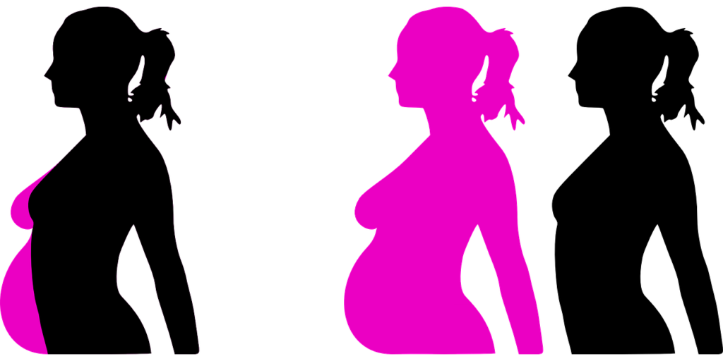 pregnancy-23889_1280